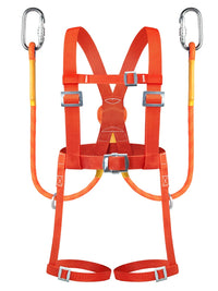 Industrial Safety Harness with Lanyard for Fall Protection, Half Body or Full Body Options