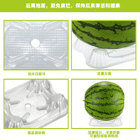 Watermelon Support Cradles for Fruit and Vegetable Growth, Transparent Plastic Trays Prevent Rot