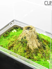 Acrylic Terrarium Propagation Box for Moss, Seedlings and Micro Landscape Growing