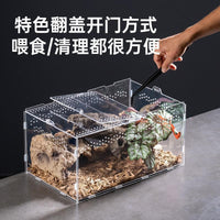 Acrylic Reptile Terrarium Transparent Breeding Box for Spiders and Small Pets