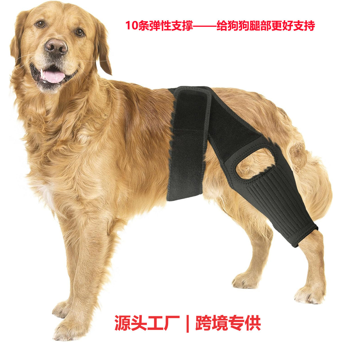 Pet Dog Leg Brace with Support Strips for Injury Recovery