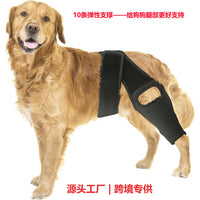 Pet Dog Leg Brace with Support Strips for Injury Recovery