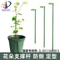 Garden Plant Support Stakes for Climbing Vines and Flowers, Single Stem Anti-Toppling Stand