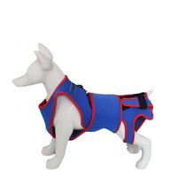 Pet Dog Spine Support Harness Vest with Calming Traction Lead