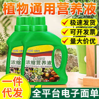 Universal Concentrated Plant Nutrient Solution for Hydroponic Potted Plants and Greenery