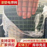 PVC Coated Welded Wire Mesh for Poultry Fencing, Garden Enclosures, and Pond Protection