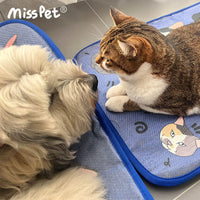 Ice Silk Cooling Pet Mat for Cats and Dogs