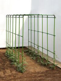 Heavy-Duty Coated Steel Plant Trellis for Climbing Vegetables and Flowers