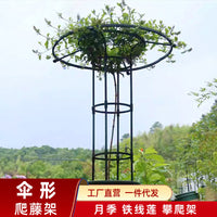 Umbrella-Shaped Metal Plant Trellis for Climbing Vines and Roses, Outdoor Garden Support
