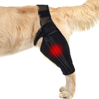 Dog Rear Leg Brace for Joint Support and Injury Recovery