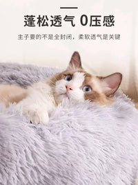 Warm Donut Plush Cat Bed for Small Cats & Dogs, All Seasons Pet Nest