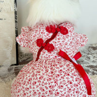Pet Chinese New Year Princess Dress with Frog Closures for Cats and Dogs