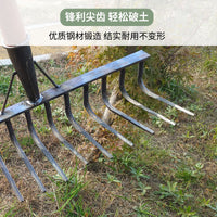 Steel Multi-tooth Rake for Gardening and Farming