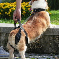 Dog Rear Leg Support Harness for Injured or Disabled Pets
