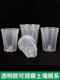 Tall Transparent Orchid & Aroid Pot with Root Control and Breathable Design for Indoor Plants