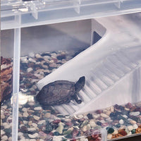 Large Turtle Habitat Tank with Filter and Landscape, Plastic Aquarium with Lid and Drain