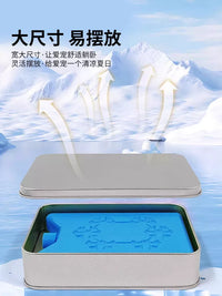 Pet Chinchilla Hamster Guinea Pig Cooling Ice Box Stainless Steel Ice Pad