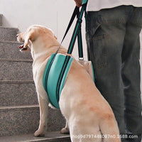 Pet Dog Support Harness for Rehabilitation and Mobility Assistance