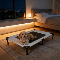 Elevated Breathable Mesh Pet Bed for Cats and Dogs, Detachable Washable, Moisture-Proof, for Medium to Large Pets