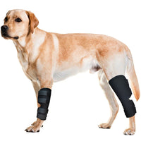 Adjustable Dog Front Leg Brace for Injury Recovery and Joint Protection
