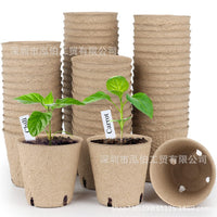 Kids DIY Planting Foam Flower Pot Craft Kit with Seedling Cups
