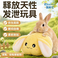 Guinea Pig and Rabbit Enrichment Toy Ball for Stress Relief and Claw Grinding