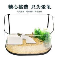 Turtle Basking Platform with Aquatic Plant Holder - Floating Dock for Reptile Tank Decoration and Rest