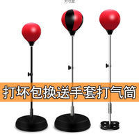 Freestanding Punching Bag with Speed Ball for Adults and Kids, Inflatable Boxing Training Equipment