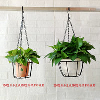 Minimalist Iron Art Hanging Planter Basket for Succulents and Greenery
