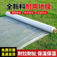 Agricultural White Plastic Mulch Film for Greenhouse Vegetable Seedling Winter Protection