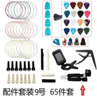 Guitar Accessory Kit with Strings, Picks, Capo, Tuner, and Bridge Pins