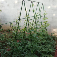 Balcony Vegetable Rack Climbing Frame Garden Flower Stand Plant Support for Beans and Cucumbers