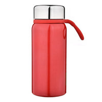 Portable Stainless Steel Insulated Water Bottle with Handle, Small Capacity