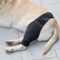 Pet Dog Leg Support Harness for Rehabilitation and Protection - Neoprene Thigh Brace for Injured or Weak Dogs