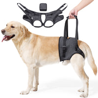 Dog Rear Leg Support Harness for Injured or Elderly Dogs - Mobility Aid for Walking and Recovery