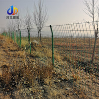PVC Coated Welded Wire Mesh Fence for Garden, Highway, and Enclosure