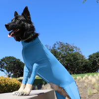 Large Dog Four-Legged Stretchy Bodysuit Pet Cat Dog Pajamas Home Clothes
