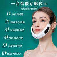 EMS Microcurrent Facial Massager with LED Light Therapy and Heating Vibration for V-Face Lifting