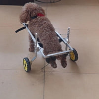 Pet Wheelchair for Dogs and Cats, Hind Leg Support for Rehabilitation and Mobility Assistance