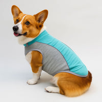 Pet Cooling Vest Breathable Summer Dog Apparel for Heat Relief