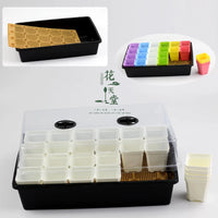 Succulent Plant Nursery Tray with Drainage Board and Square Pots for Seed Starting and Cultivation