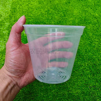 Clear Hard Plastic Orchid & Succulent Nursery Pot with Drainage Holes