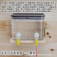 Quail Chick Automatic Water Feeder with Pin Drinker for Small Poultry