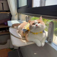 Cat Window Hammock with Suction Cups, Foldable Indoor Sunbathing Perch for Cats