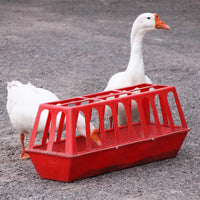 Covered Chicken Feeder Automatic Dispenser Anti-Spill Design for Enhanced Feed Utilization Poultry Farming