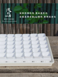 Mini Square Succulent Planter Pot with 4 Holes, Plastic Seedling Tray and Drip Tray for Balcony Gardening