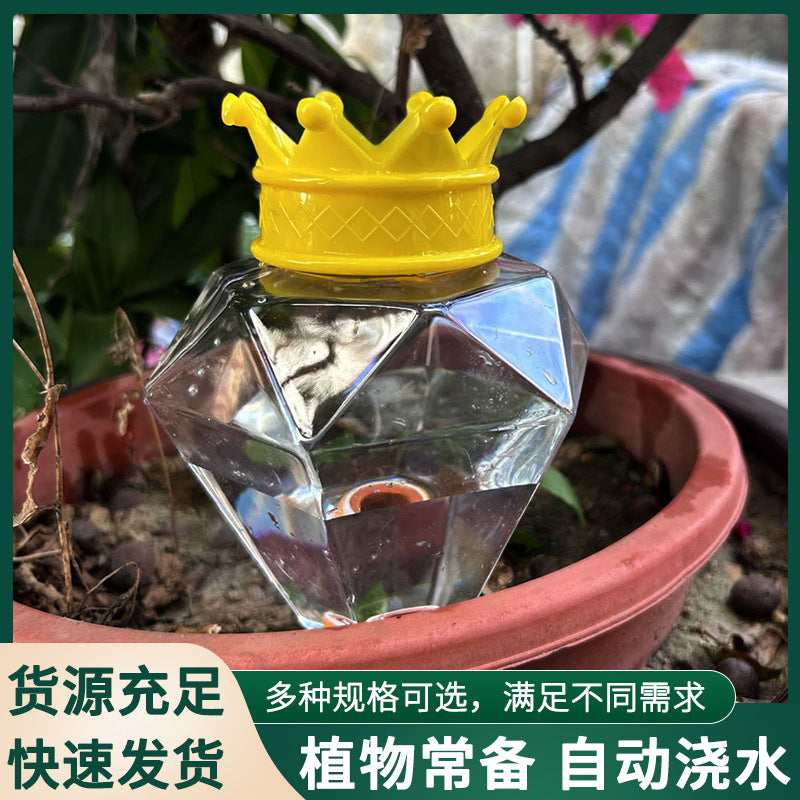 Diamond-Shaped Self-Watering Device for Potted Plants