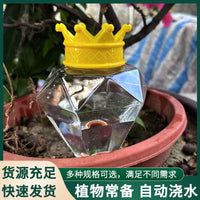 Diamond-Shaped Self-Watering Device for Potted Plants