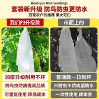 Reusable Non-Woven Fruit and Vegetable Protection Bags for Pest Control