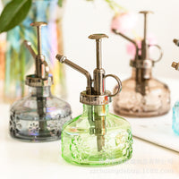 Colored Glass Spray Bottle for Indoor Gardening, Succulents, and Potted Plants